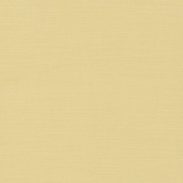 CLARKE AND CLARKE F0594/12.CAC.0 NANTUCKET CORN Fabric - Eade's Wallpaper