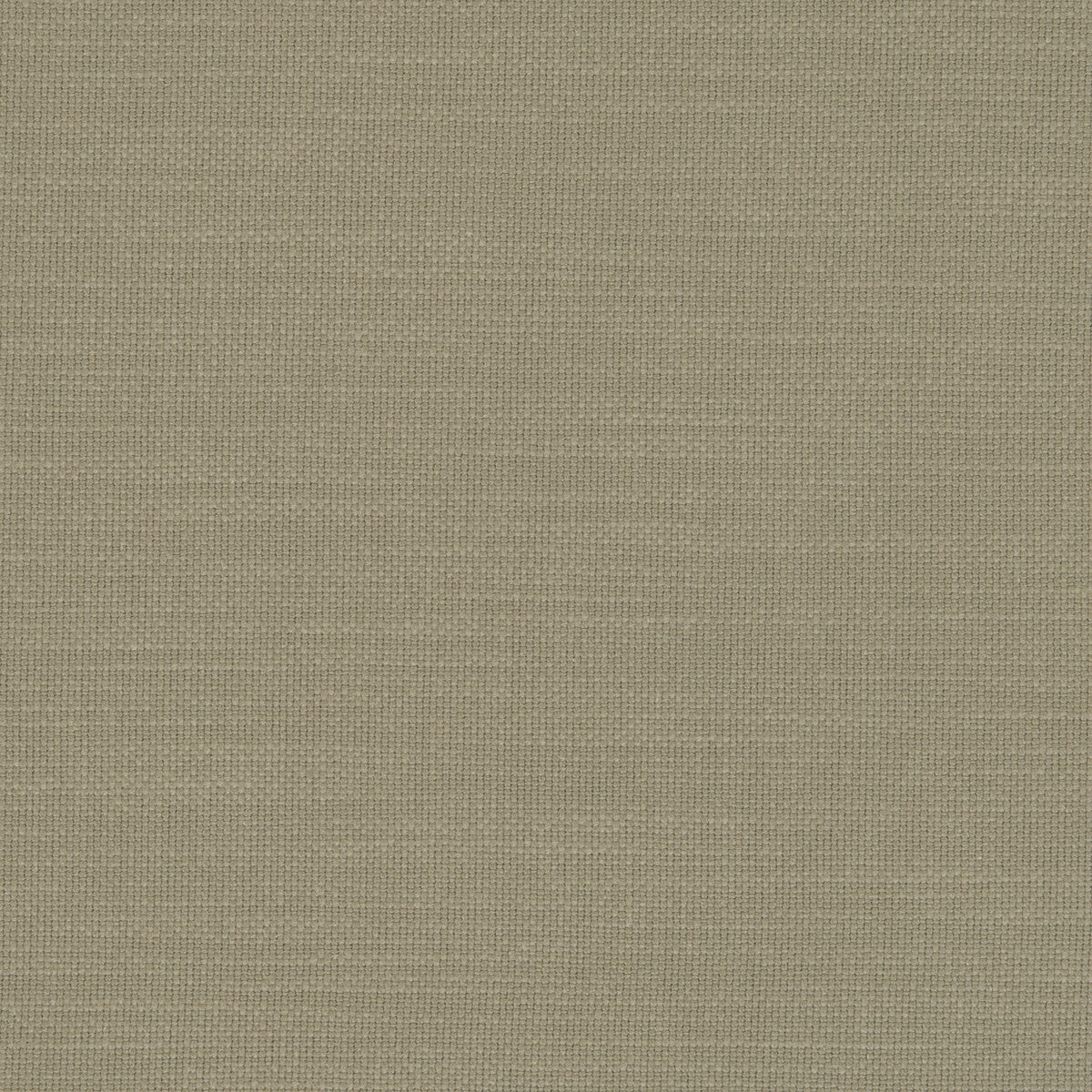 CLARKE AND CLARKE F0594/19.CAC.0 NANTUCKET EUCALYPTUS Fabric - Eade's Wallpaper