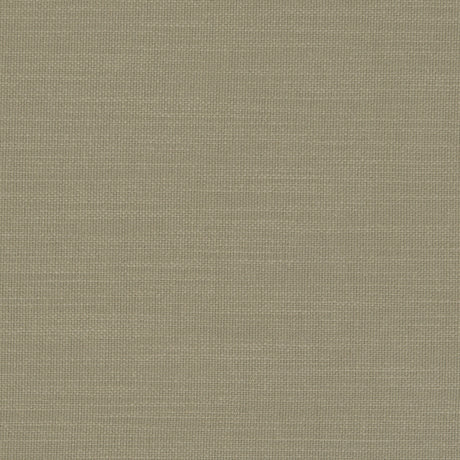 CLARKE AND CLARKE F0594/19.CAC.0 NANTUCKET EUCALYPTUS Fabric - Eade's Wallpaper