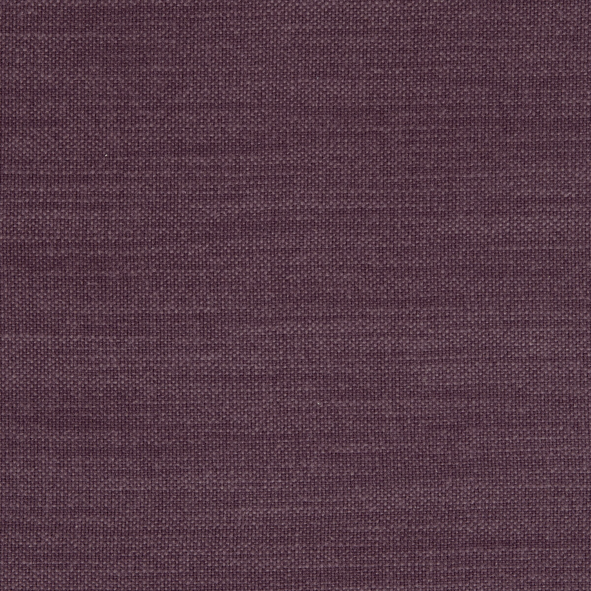 CLARKE AND CLARKE F0594/22.CAC.0 NANTUCKET GRAPE Fabric - Eade's Wallpaper