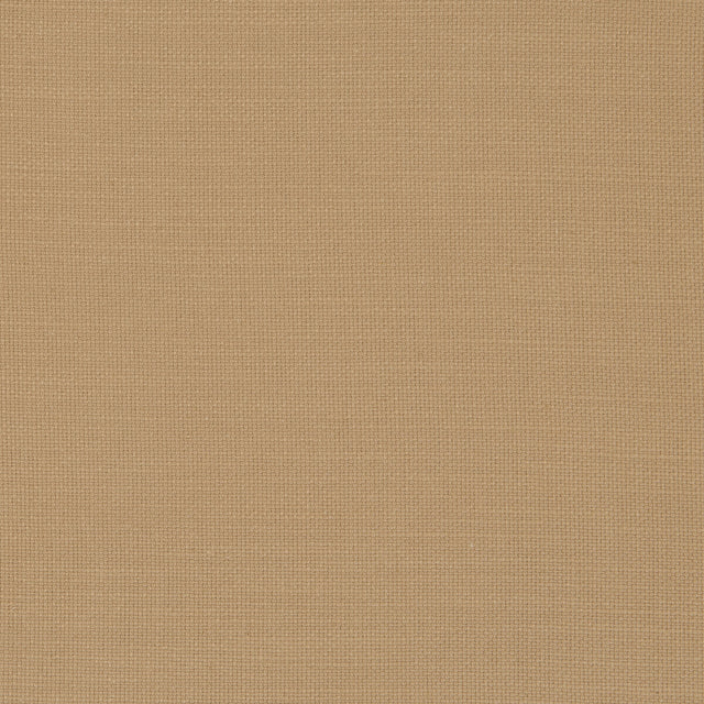 CLARKE AND CLARKE F0594/26.CAC.0 NANTUCKET HONEY Fabric - Eade's Wallpaper