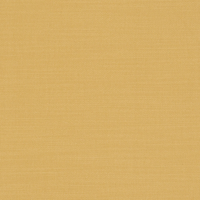 CLARKE AND CLARKE F0594/53.CAC.0 NANTUCKET SUNFLOWER Fabric - Eade's Wallpaper