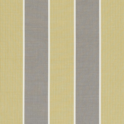CLARKE AND CLARKE F0597/01.CAC.0 CHATBURN CITRUS Fabric - Eade's Wallpaper