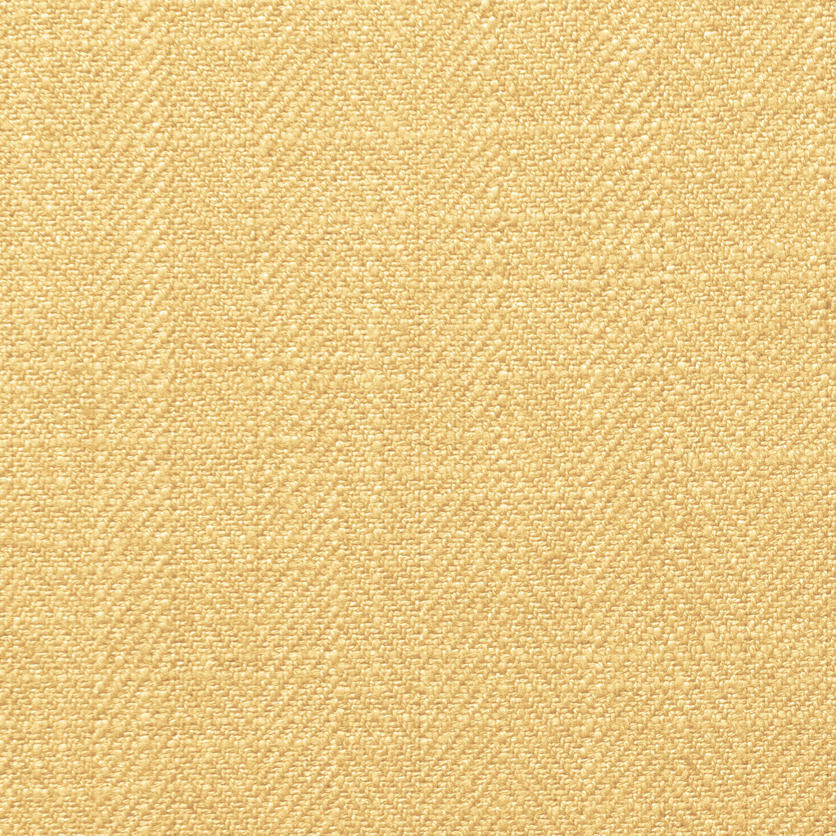 CLARKE AND CLARKE F0648/38.CAC.0 HENLEY SUNFLOWER Fabric - Eade's Wallpaper