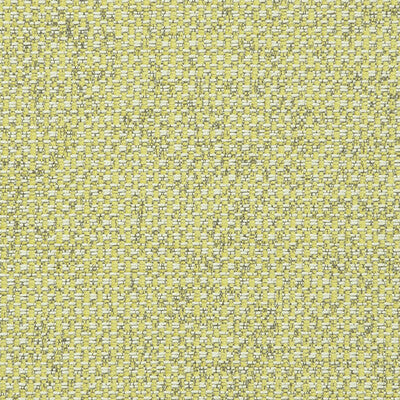 CLARKE AND CLARKE F0723/01.CAC.0 CASANOVA ACACIA Fabric - Eade's Wallpaper