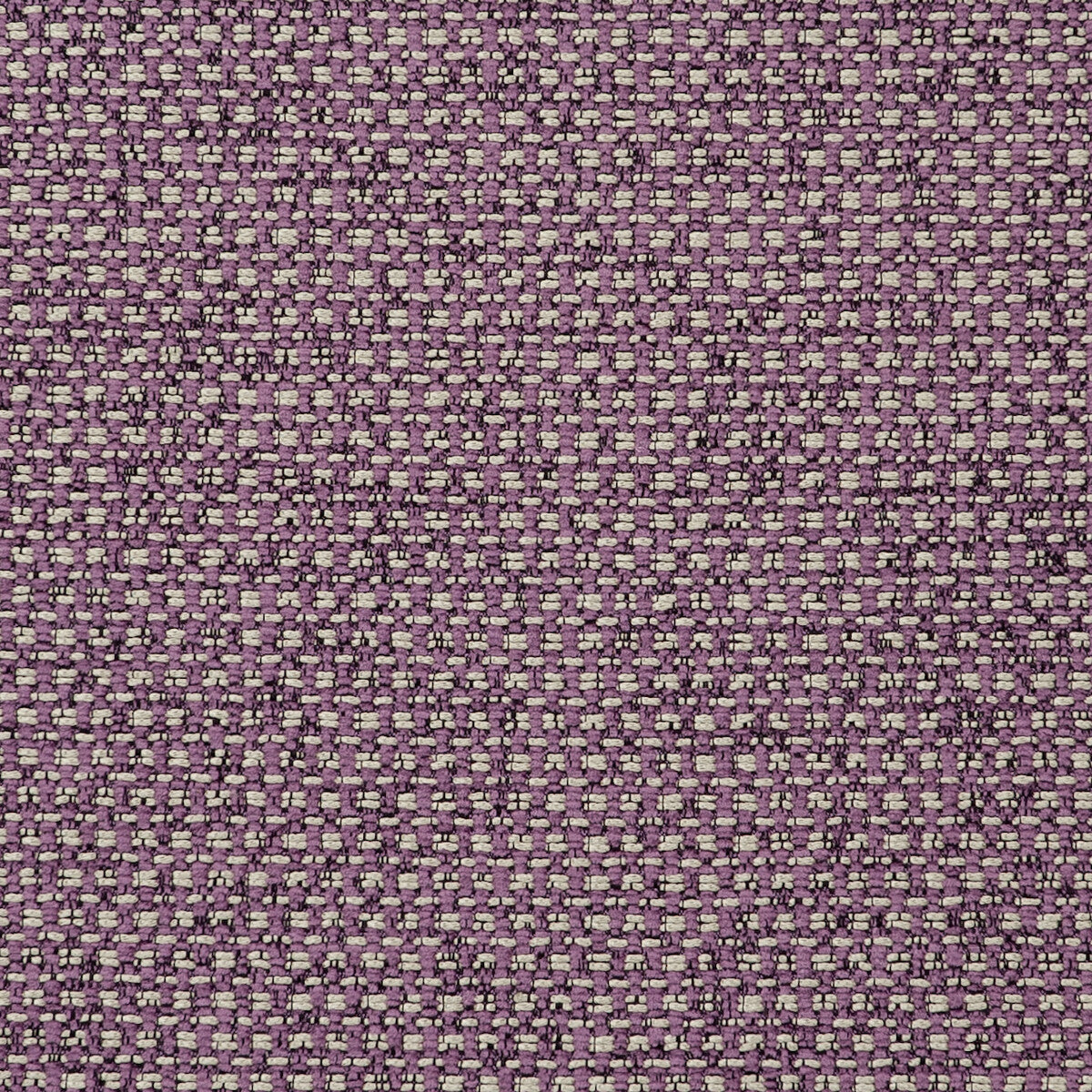 CLARKE AND CLARKE F0723/13.CAC.0 CASANOVA ORCHID Fabric - Eade's Wallpaper