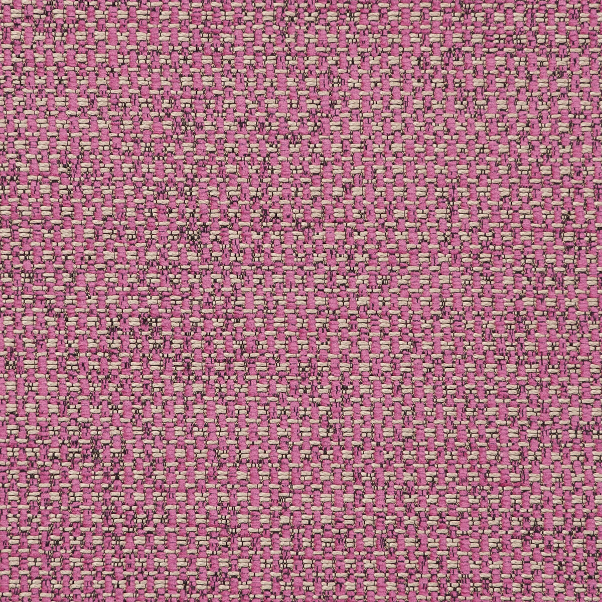 CLARKE AND CLARKE F0723/21.CAC.0 CASANOVA SORBET Fabric - Eade's Wallpaper