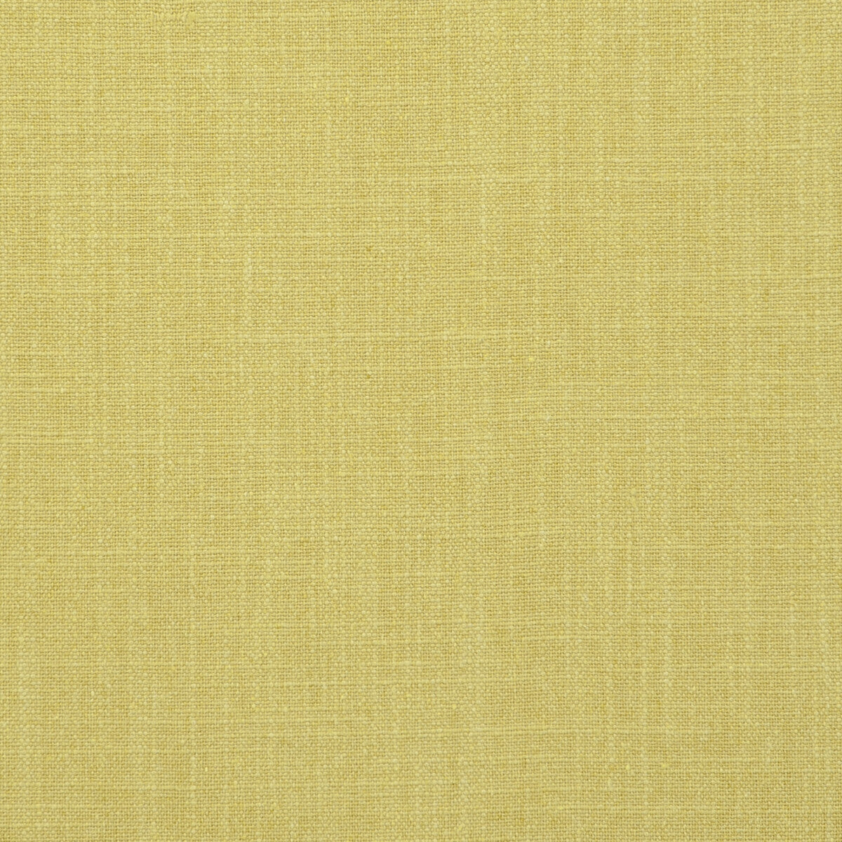CLARKE AND CLARKE F0736/01.CAC.0 EASTON ACACIA Fabric - Eade's Wallpaper