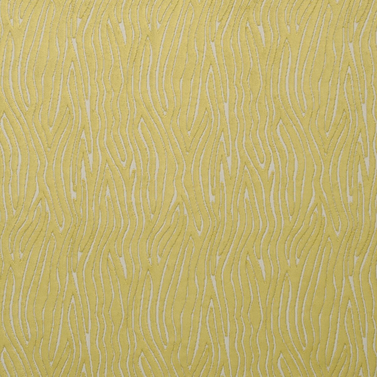 CLARKE AND CLARKE F0749/02.CAC.0 ONDA CITRUS Fabric - Eade's Wallpaper