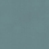 CLARKE AND CLARKE F0753/01.CAC.0 ALVAR AQUA Fabric - Eade's Wallpaper