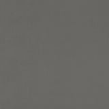 CLARKE AND CLARKE F0753/23.CAC.0 ALVAR ASH Fabric - Eade's Wallpaper