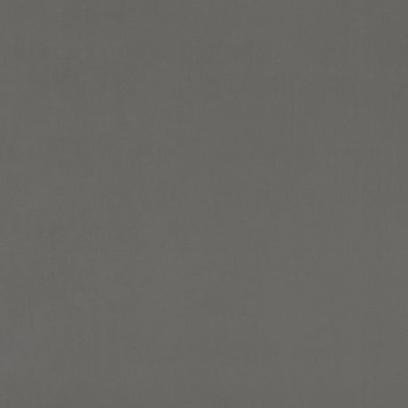 CLARKE AND CLARKE F0753/23.CAC.0 ALVAR ASH Fabric - Eade's Wallpaper