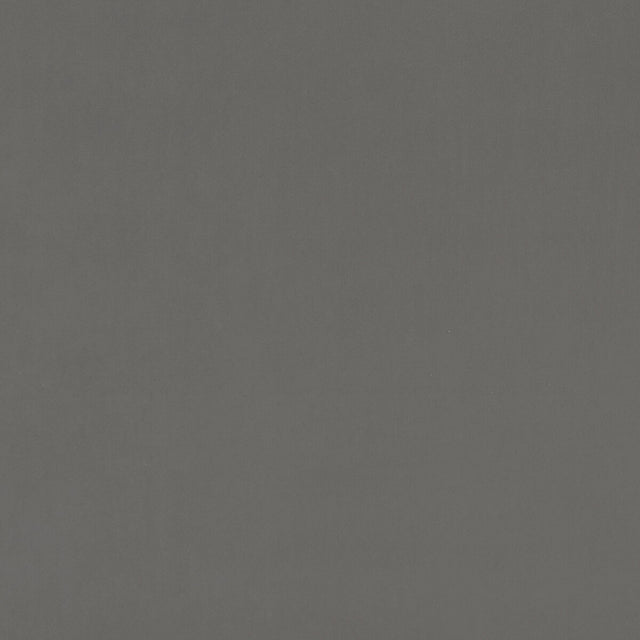 CLARKE AND CLARKE F0753/23.CAC.0 ALVAR ASH Fabric - Eade's Wallpaper