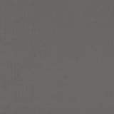 CLARKE AND CLARKE F0753/23.CAC.0 ALVAR ASH Fabric - Eade's Wallpaper
