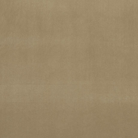 CLARKE AND CLARKE F0753/41.CAC.0 ALVAR LARK Fabric - Eade's Wallpaper