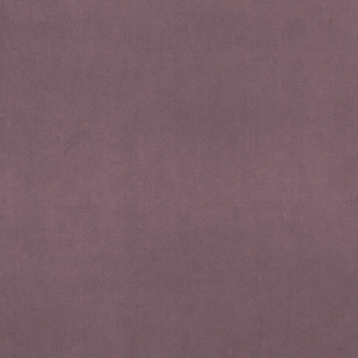 CLARKE AND CLARKE F0753/42.CAC.0 ALVAR LAVENDER Fabric - Eade's Wallpaper