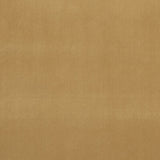 CLARKE AND CLARKE F0753/70.CAC.0 ALVAR HARVEST Fabric - Eade's Wallpaper