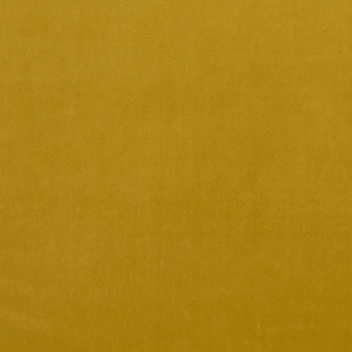 CLARKE AND CLARKE F0753/72.CAC.0 ALVAR HONEY Fabric - Eade's Wallpaper
