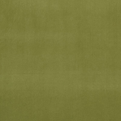 CLARKE AND CLARKE F0753/77.CAC.0 ALVAR LEAF Fabric - Eade's Wallpaper