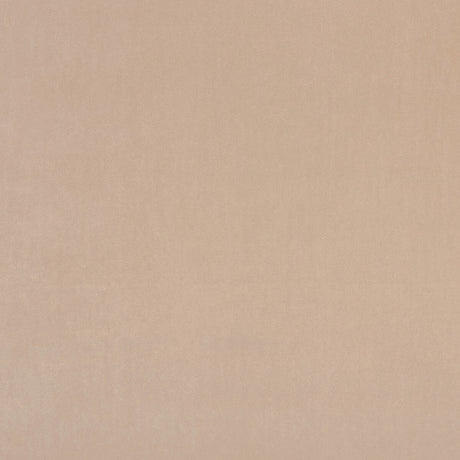 CLARKE AND CLARKE F0753/84.CAC.0 ALVAR NUDE Fabric - Eade's Wallpaper
