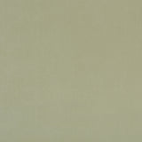 CLARKE AND CLARKE F0753/98.CAC.0 ALVAR THYME Fabric - Eade's Wallpaper