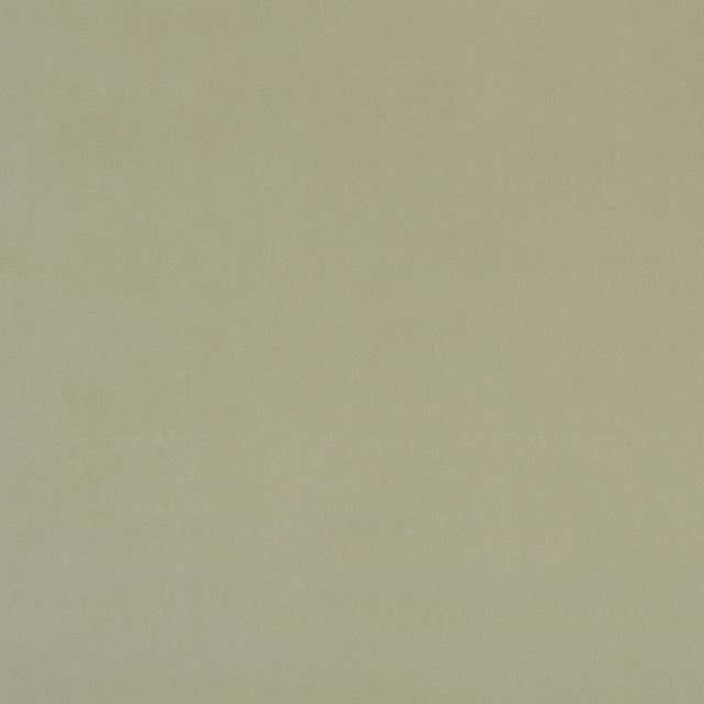 CLARKE AND CLARKE F0753/98.CAC.0 ALVAR THYME Fabric - Eade's Wallpaper