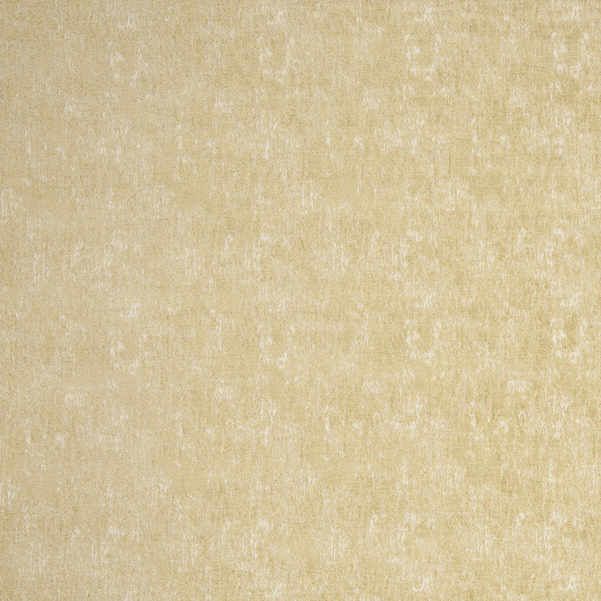 CLARKE AND CLARKE F0795/02.CAC.0 NESA ANTIQUE Fabric - Eade's Wallpaper