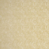 CLARKE AND CLARKE F0795/02.CAC.0 NESA ANTIQUE Fabric - Eade's Wallpaper