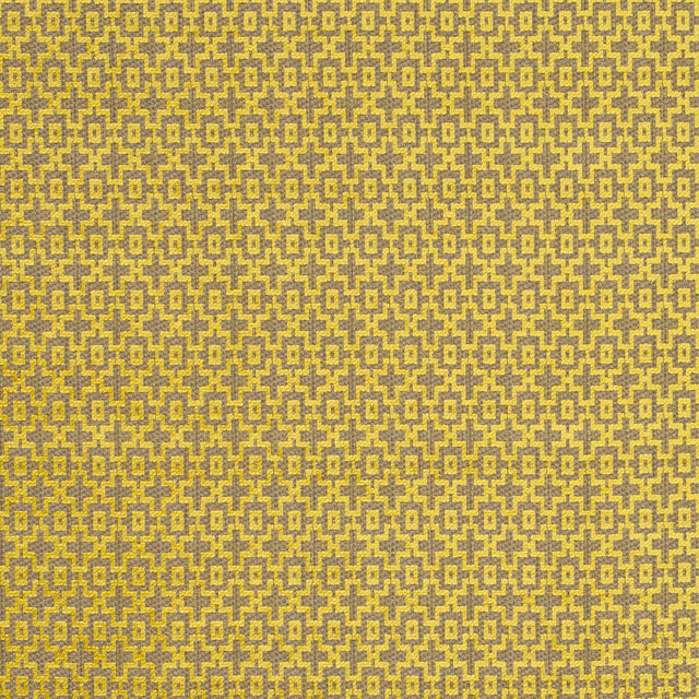 CLARKE AND CLARKE F0807/02.CAC.0 MANSOUR CITRUS Fabric - Eade's Wallpaper
