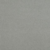 CLARKE AND CLARKE F0848/01.CAC.0 HIGHLANDER ASH Fabric - Eade's Wallpaper