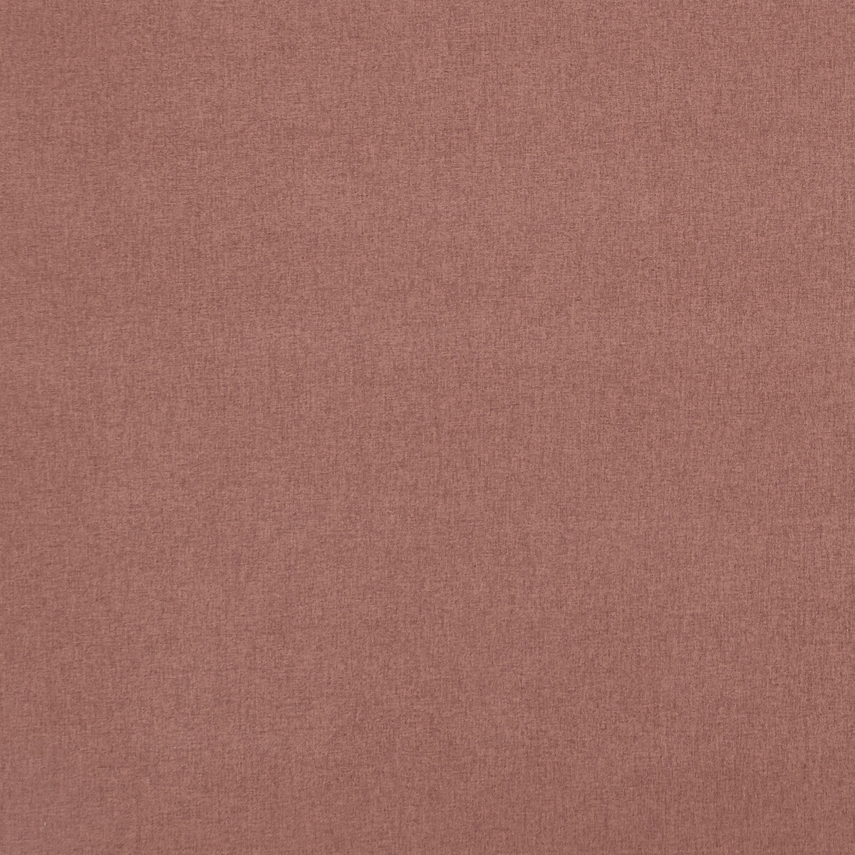 CLARKE AND CLARKE F0848/04.CAC.0 HIGHLANDER CAMEO Fabric - Eade's Wallpaper