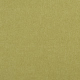 CLARKE AND CLARKE F0848/12.CAC.0 HIGHLANDER FERN Fabric - Eade's Wallpaper