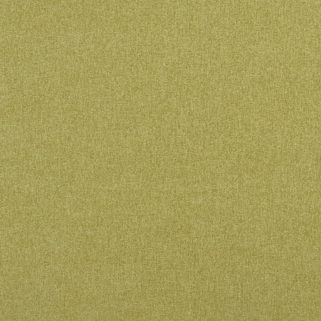 CLARKE AND CLARKE F0848/12.CAC.0 HIGHLANDER FERN Fabric - Eade's Wallpaper