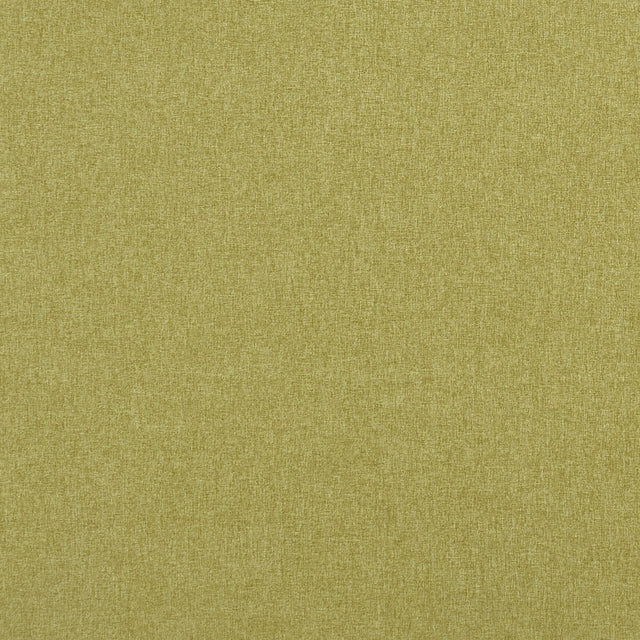 CLARKE AND CLARKE F0848/12.CAC.0 HIGHLANDER FERN Fabric - Eade's Wallpaper