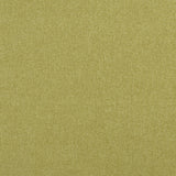 CLARKE AND CLARKE F0848/12.CAC.0 HIGHLANDER FERN Fabric - Eade's Wallpaper