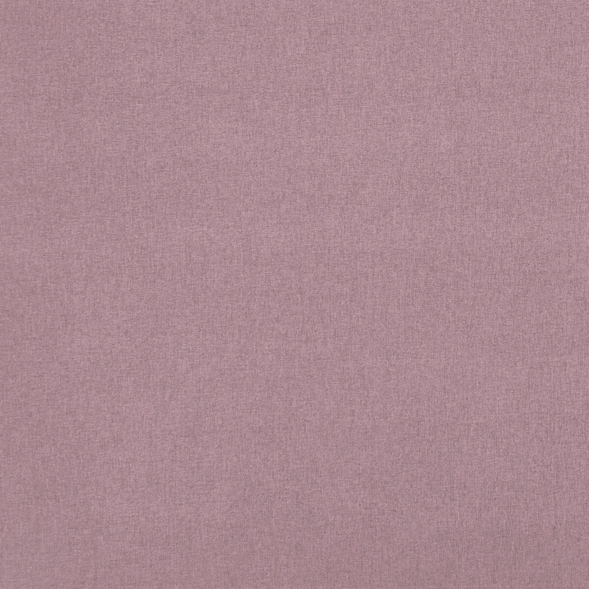 CLARKE AND CLARKE F0848/23.CAC.0 HIGHLANDER ORCHID Fabric - Eade's Wallpaper