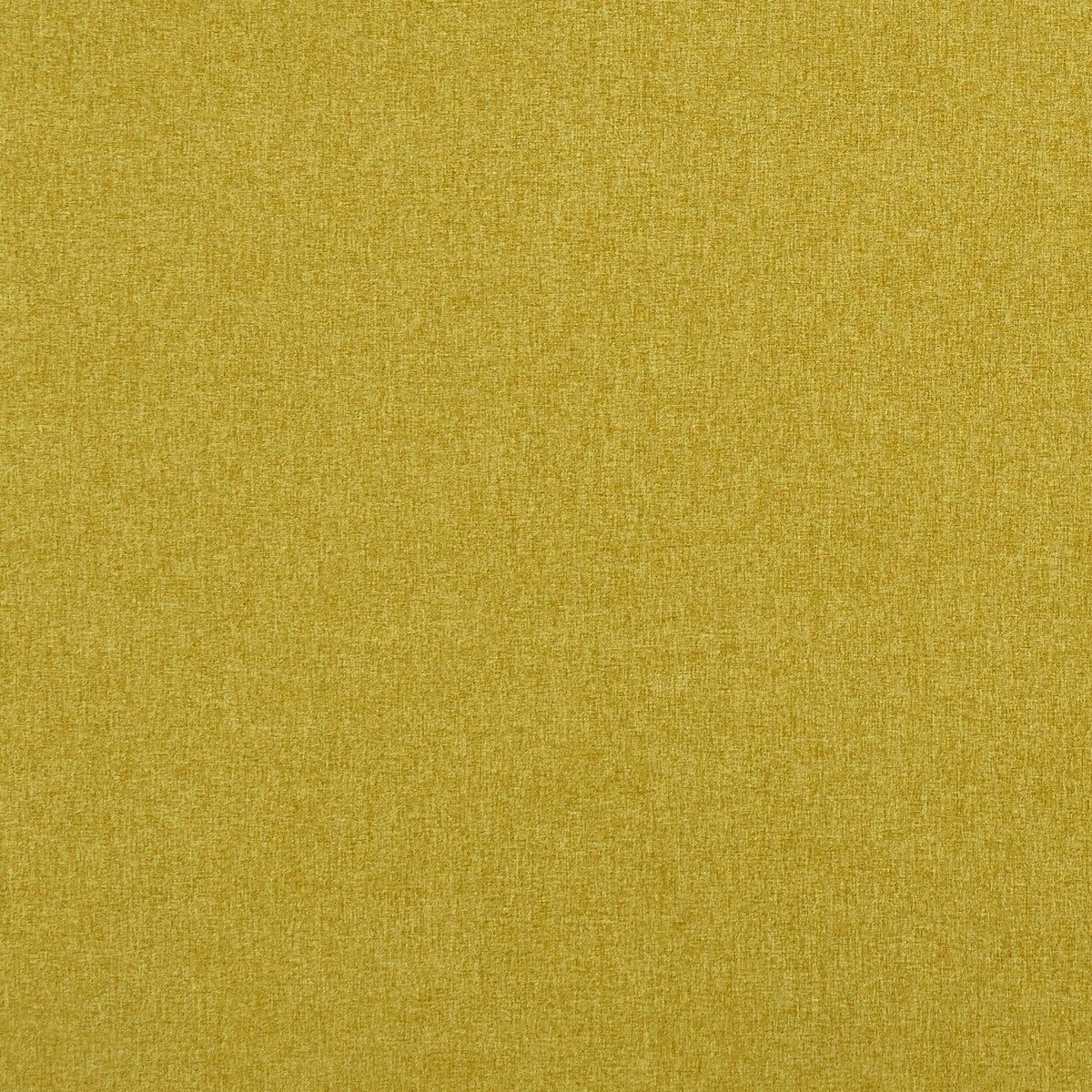 CLARKE AND CLARKE F0848/24.CAC.0 HIGHLANDER PALM Fabric - Eade's Wallpaper