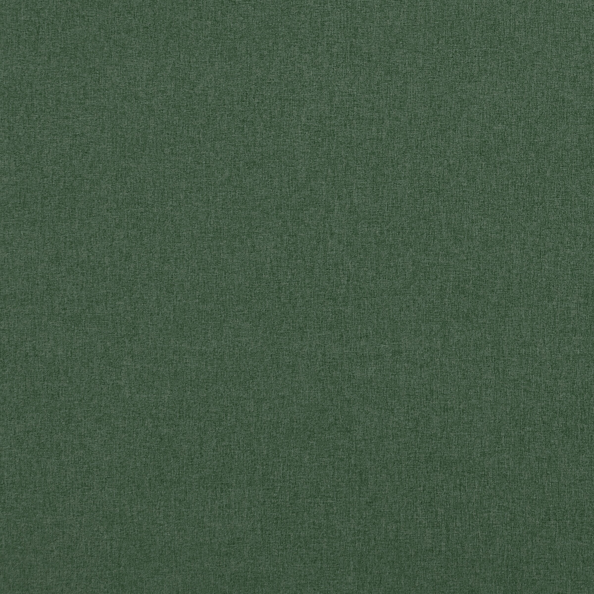 CLARKE AND CLARKE F0848/46.CAC.0 HIGHLANDER FOREST Fabric - Eade's Wallpaper
