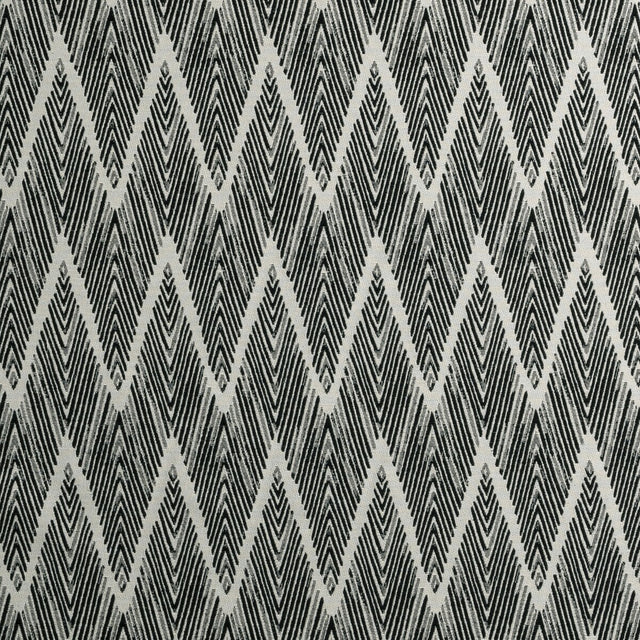 CLARKE AND CLARKE F0895/01.CAC.0 BW1022 BLACK/WHITE Fabric - Eade's Wallpaper
