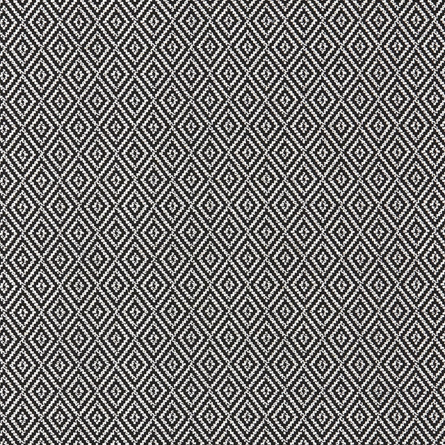 CLARKE AND CLARKE F0898/01.CAC.0 BW1025 BLACK/WHITE Fabric - Eade's Wallpaper