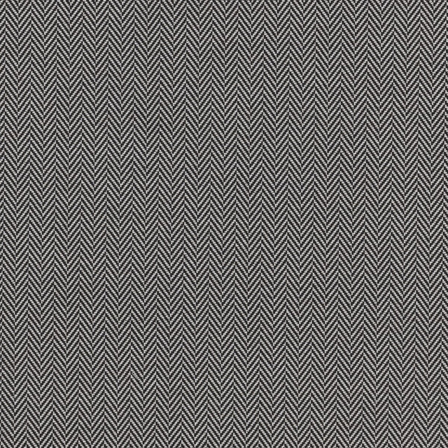 CLARKE AND CLARKE F0899/01.CAC.0 BW1026 BLACK/WHITE Fabric - Eade's Wallpaper