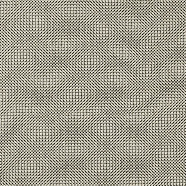 CLARKE AND CLARKE F0906/01.CAC.0 BW1033 BLACK/WHITE Fabric - Eade's Wallpaper