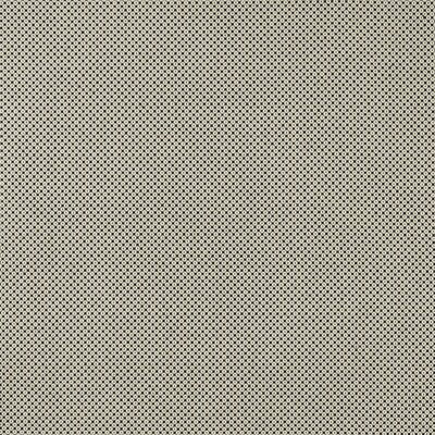 CLARKE AND CLARKE F0906/01.CAC.0 BW1033 BLACK/WHITE Fabric - Eade's Wallpaper