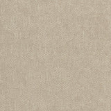CLARKE AND CLARKE F0962/01.CAC.0 YORUBA CINNAMON Fabric - Eade's Wallpaper