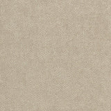 CLARKE AND CLARKE F0962/01.CAC.0 YORUBA CINNAMON Fabric - Eade's Wallpaper