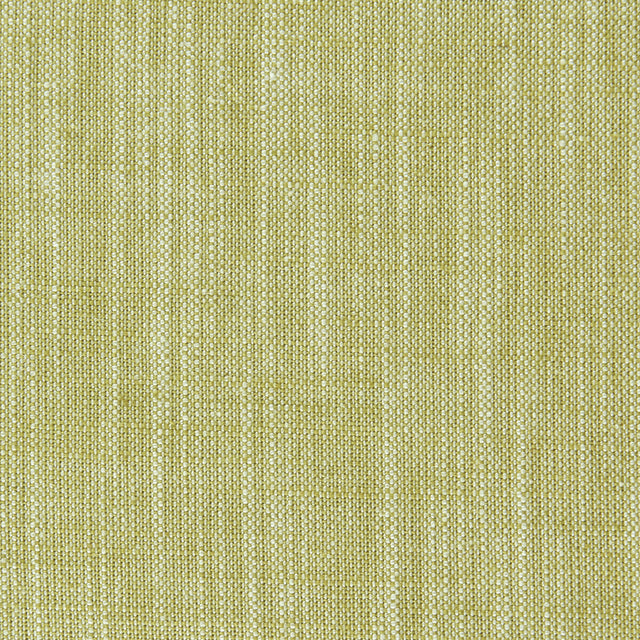 CLARKE AND CLARKE F0965/11.CAC.0 BIARRITZ CITRUS Fabric - Eade's Wallpaper