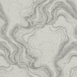 CLARKE AND CLARKE F1061/06.CAC.0 MARBLE SILVER Fabric - Eade's Wallpaper