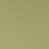 CLARKE AND CLARKE F1062/04.CAC.0 SPECTRUM CHAMELEON Fabric - Eade's Wallpaper