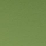 CLARKE AND CLARKE F1062/26.CAC.0 SPECTRUM OREGANO Fabric - Eade's Wallpaper