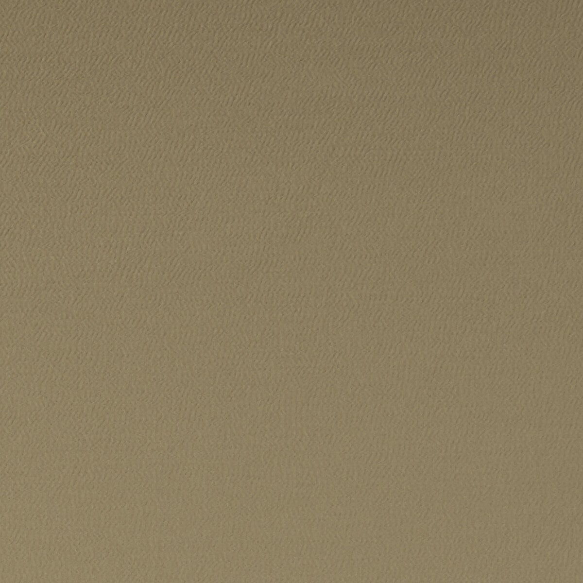 CLARKE AND CLARKE F1062/29.CAC.0 SPECTRUM PECAN Fabric - Eade's Wallpaper